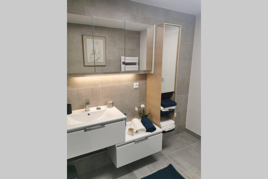 Magnifique F3, 75m² Avec Parking Prive Et Terrasse Strasbourg