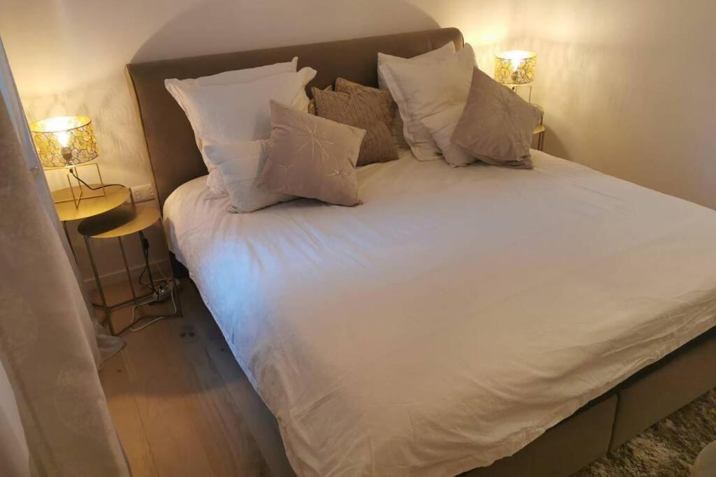 Magnifique F3, 75m² Avec Parking Prive Et Terrasse Strasbourg